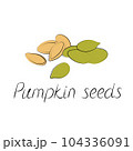 Pumpkin seeds vector. Vegetarian food or snack illustration 104336091