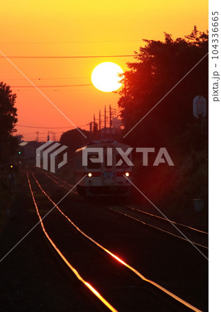 夕日を背に疾走する関東鉄道キハ310形気動車_2023/6/17撮影 104336665