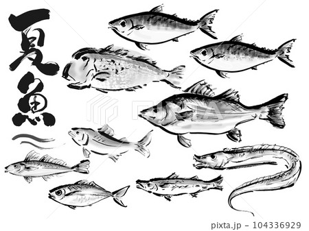 手描き和風素材　夏が旬の魚セット 104336929