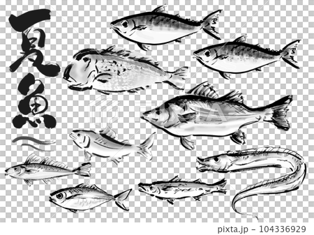 手描き和風素材　夏が旬の魚セット 104336929