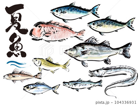 手描き和風素材　夏が旬の魚セット 104336931