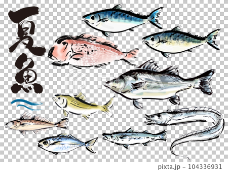 手描き和風素材　夏が旬の魚セット 104336931