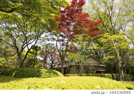戸定が丘歴史公園　周辺の風景 104336999