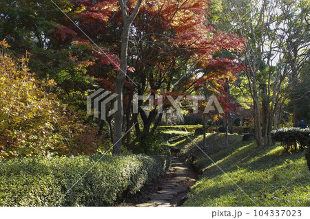 戸定が丘歴史公園　周辺の風景 104337023