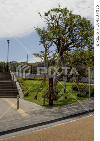 戸定が丘歴史公園　周辺の風景 104337035