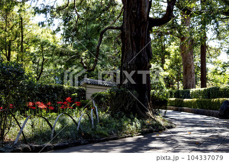 戸定が丘歴史公園　周辺の風景 104337079