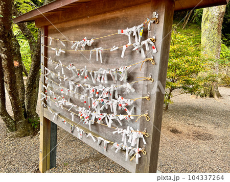 【千葉県館山市】安房神社 おみくじ掛け 【千葉県館山市】安房神社 おみくじ掛け 104337264