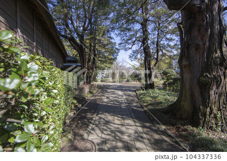 戸定が丘歴史公園 周辺の風景 戸定が丘歴史公園 周辺の風景 104337336