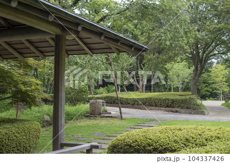 戸定が丘歴史公園 周辺の風景 戸定が丘歴史公園 周辺の風景 104337426