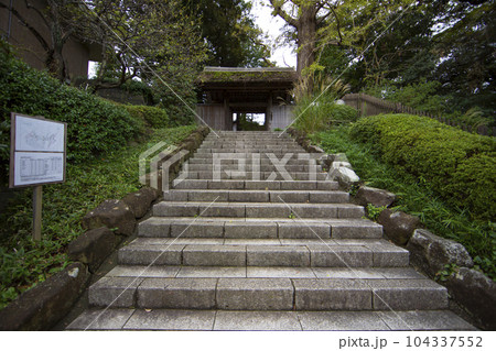 戸定が丘歴史公園 周辺の風景 戸定が丘歴史公園 周辺の風景 104337552