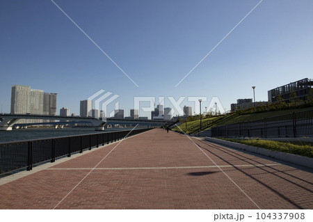 豊洲ぐるり公園　周辺の風景 104337908