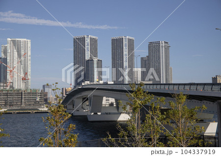 豊洲ぐるり公園 周辺の風景 豊洲ぐるり公園 周辺の風景 104337919