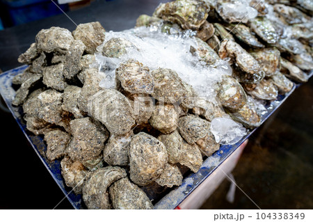Fresh raw closed oysters 104338349