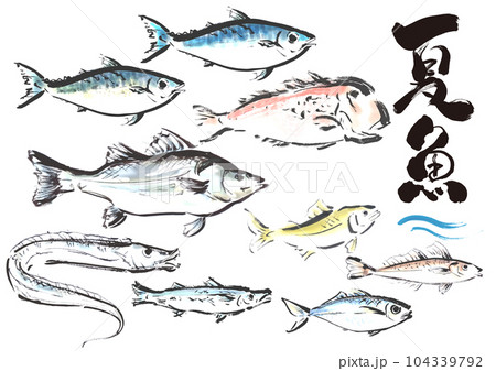 手描き和風素材　夏が旬の魚セット　右向き 104339792