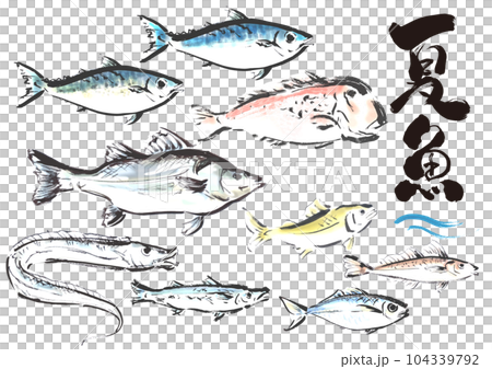 Hand-painted Japanese-style materials Summer season fish set facing right 104339792