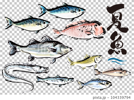 手繪日式素材夏季魚套裝朝右 104339794