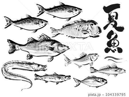 手描き和風素材　夏が旬の魚セット　右向き 104339795
