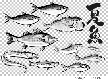 手描き和風素材　夏が旬の魚セット　右向き 104339795