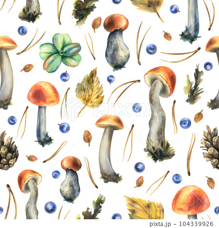 Forest edible boletus mushrooms with blueberries, cones, autumn leaves and twigs. Watercolor illustration, hand drawn. Seamless pattern on a white background. Forest edible boletus mushrooms with blueberries, cones, autumn leaves and twigs. Watercolor illustration, hand drawn. Seamless pattern on a white background. 104339926