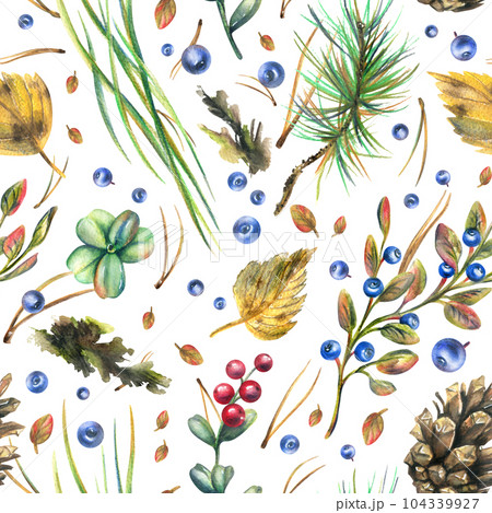 Autumn forest plants, blueberries, lingonberries, cones, leaves, pine needles, moss and grass. Watercolor illustration, hand drawn. Seamless pattern on a white background. Autumn forest plants, blueberries, lingonberries, cones, leaves, pine needles, moss and grass. Watercolor illustration, hand drawn. Seamless pattern on a white background. 104339927