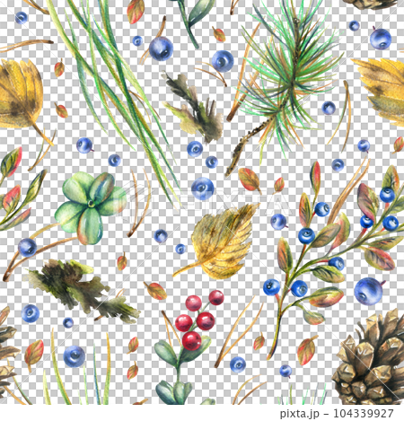 Autumn forest plants, blueberries, lingonberries, cones, leaves, pine needles, moss and grass. Watercolor illustration, hand drawn. Seamless pattern on a white background. Autumn forest plants, blueberries, lingonberries, cones, leaves, pine needles, moss and grass. Watercolor illustration, hand drawn. Seamless pattern on a white background. 104339927