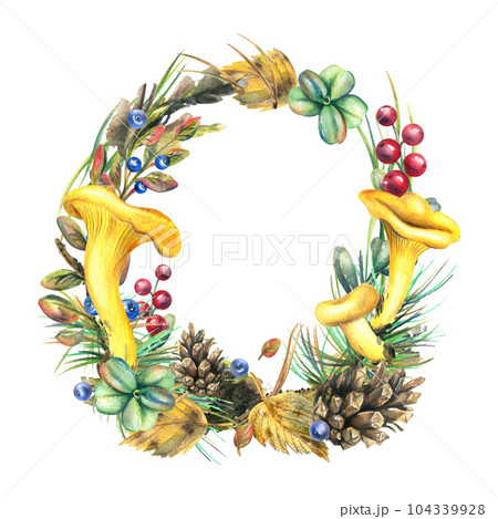 Forest edible chanterelle mushrooms with cranberries, blueberries, cones, twigs and moss. Watercolor illustration, hand drawn. Round wreath frame isolated on white background. 104339928