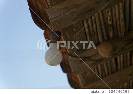 裸電球 裸電球 104340592