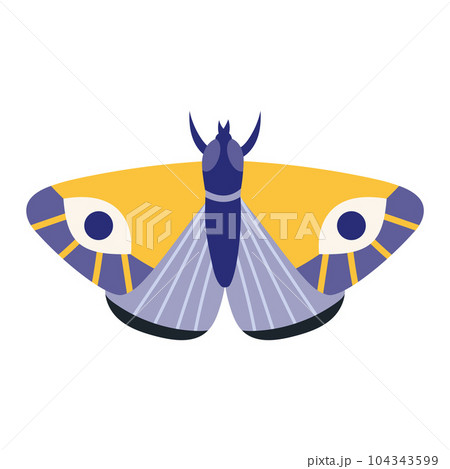 Butterfly, moth, insect with wings, cartoon style. Trendy modern vector illustration isolated on white background, hand drawn Butterfly, moth, insect with wings, cartoon style. Trendy modern vector illustration isolated on white background, hand drawn 104343599