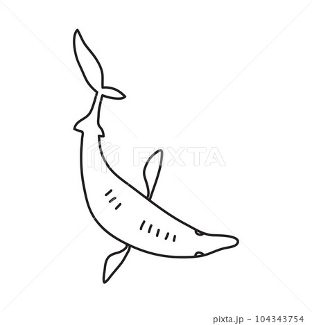 Vector stock illustration with single object: animal, hand drawn, doodle style. Vector stock illustration with single object: animal, hand drawn, doodle style. 104343754