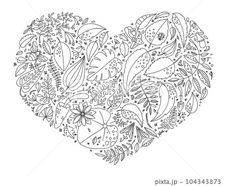 Coloring book with plants, leaves, berries and insects.  104343873