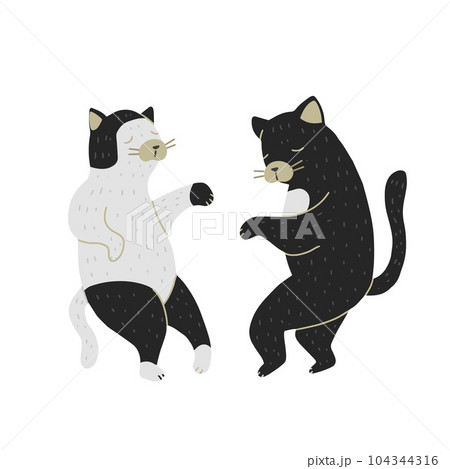 Dancing Cats isolated on white background. Couple at the party. 104344316