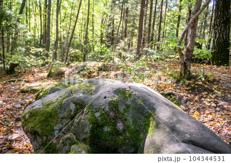 Nature monument "Urochische Chertovo Gorodische" settlement in the national park "Ugra". Russia Nature monument "Urochische Chertovo Gorodische" settlement in the national park "Ugra". Russia 104344531