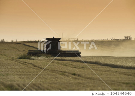 Harvester machine, harvesting in the Argentine countryside, Buenos Aires province, Argentina. 104344640
