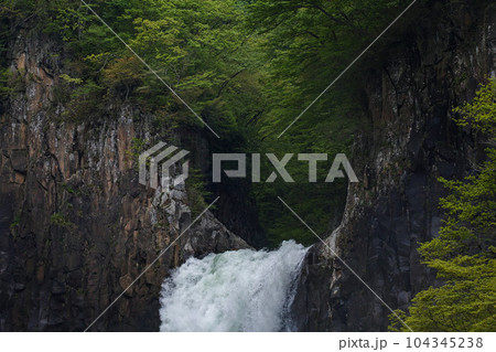 新潟県（長野県）/ 新緑の苗名滝 104345238