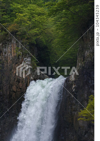新潟県(長野県)/ 新緑の苗名滝 新潟県(長野県)/ 新緑の苗名滝 104345239