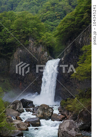 新潟県（長野県）/ 新緑の苗名滝 104345241