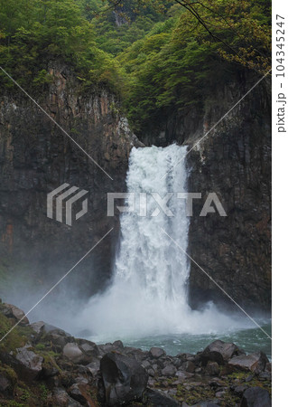 新潟県（長野県）/ 新緑の苗名滝 104345247