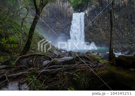 新潟県(長野県)/ 新緑の苗名滝 新潟県(長野県)/ 新緑の苗名滝 104345251
