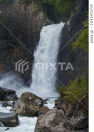 新潟県（長野県）/ 新緑の苗名滝 104345259