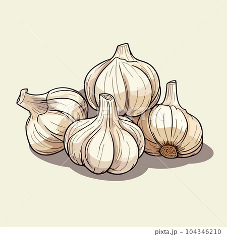 Garlic hand-drawn illustration. Garlic. Vector doodle style cartoon illustration Garlic hand-drawn illustration. Garlic. Vector doodle style cartoon illustration 104346210