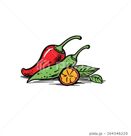 Chili pepper hand-drawn illustration. Chili pepper. Vector doodle style cartoon illustration Chili pepper hand-drawn illustration. Chili pepper. Vector doodle style cartoon illustration 104346220