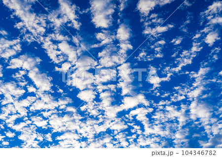 【空素材】青空とうろこ雲【長野県】 104346782