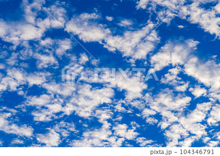 【空素材】青空とうろこ雲【長野県】 【空素材】青空とうろこ雲【長野県】 104346791