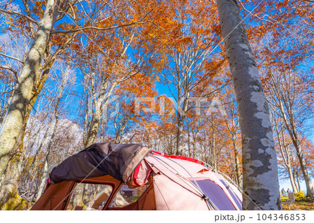 【キャンプ素材】秋のキャンプ風景【長野県】 【キャンプ素材】秋のキャンプ風景【長野県】 104346853