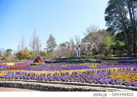 春の大花壇 104346922