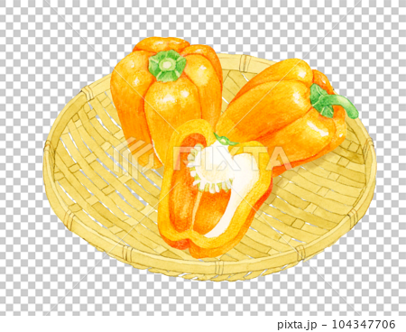 竹ざるに乗ったオレンジ色のパプリカ　夏野菜の手描き水彩イラスト素材 104347706