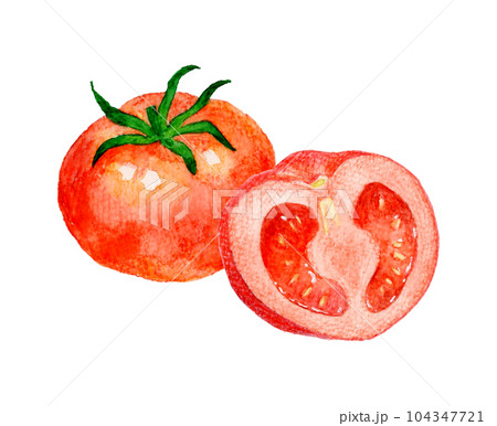 赤色のトマトのセット 夏野菜の手描き水彩イラスト素材 赤色のトマトのセット 夏野菜の手描き水彩イラスト素材 104347721