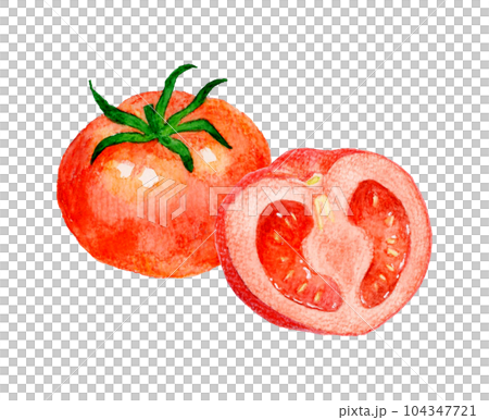 赤色のトマトのセット 夏野菜の手描き水彩イラスト素材 赤色のトマトのセット 夏野菜の手描き水彩イラスト素材 104347721