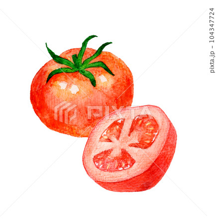 水彩画 トマト 赤色 手描き watercolor】-tomatoes-・ω・トマト【水彩】 - YouTube