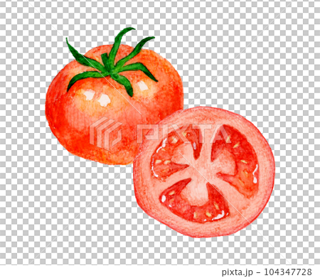 竹ざるに乗った赤色のトマト 夏野菜の手描き水彩イラスト素材